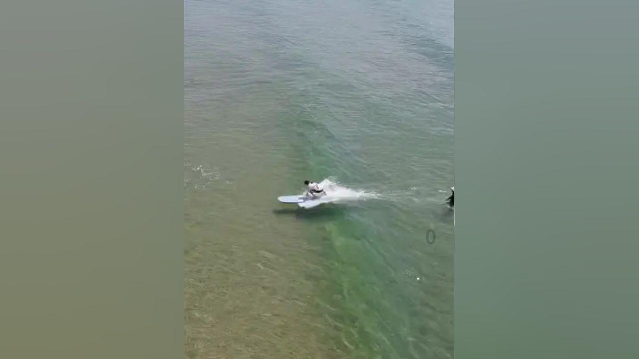 蝎子逃生之地