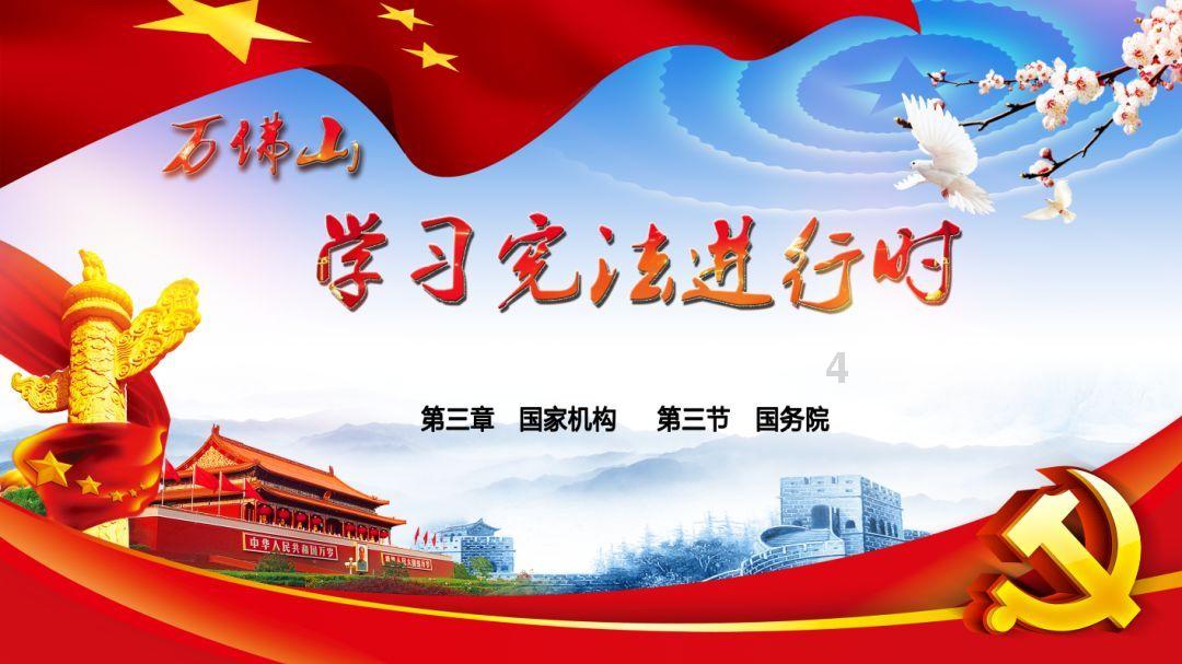 苏菲亚的休闲装